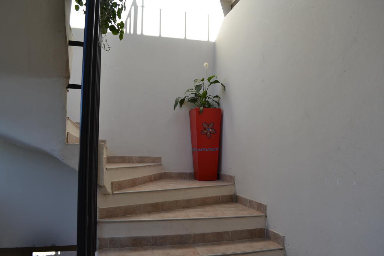Guest House Jujuy San Salvador de Jujuy Ngoại thất bức ảnh
