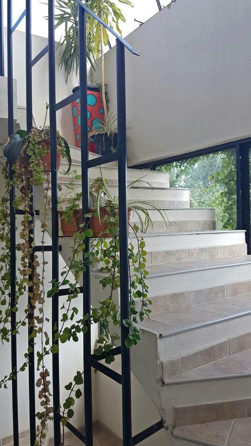 Guest House Jujuy San Salvador de Jujuy Ngoại thất bức ảnh