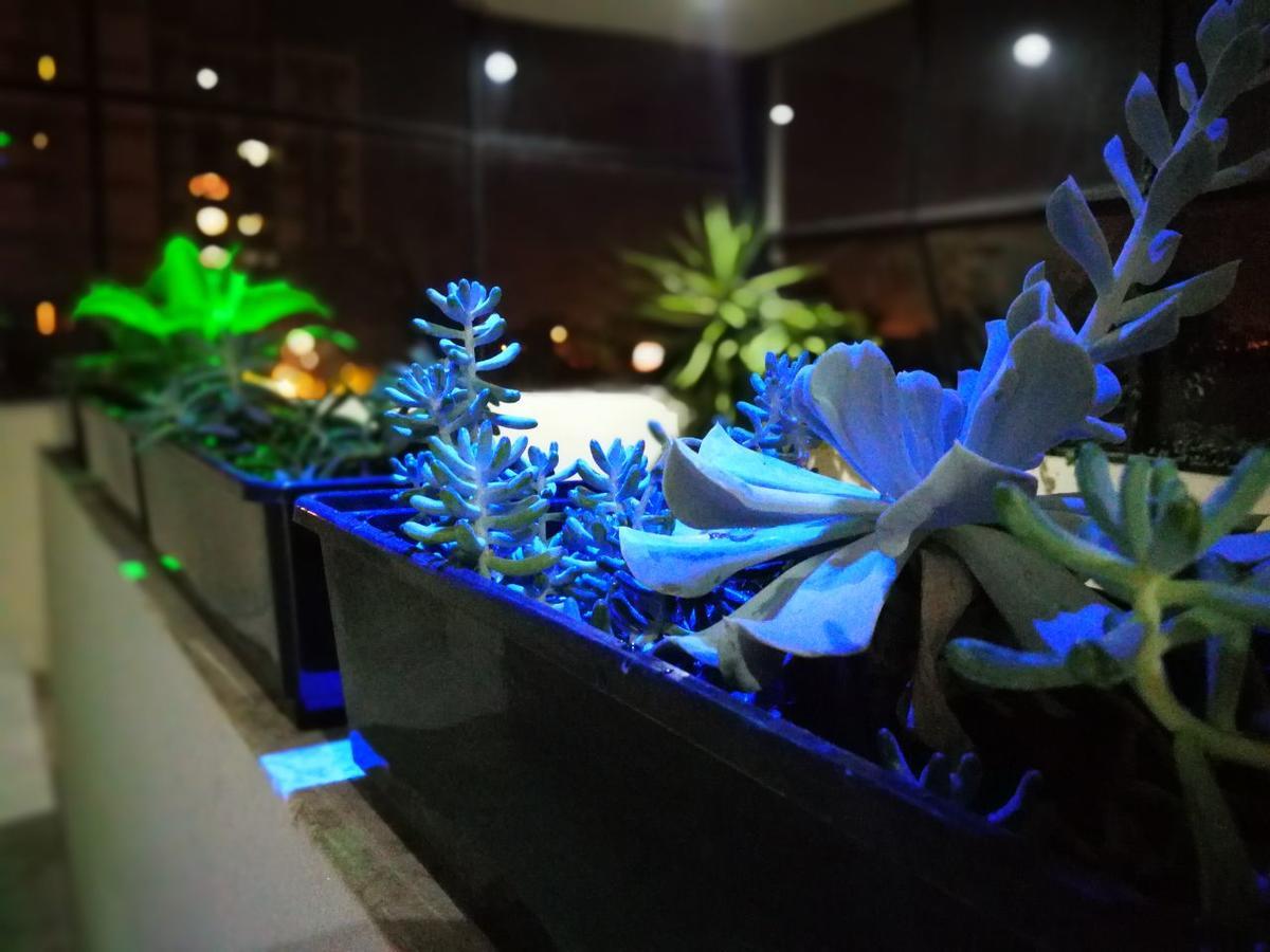 Guest House Jujuy San Salvador de Jujuy Ngoại thất bức ảnh